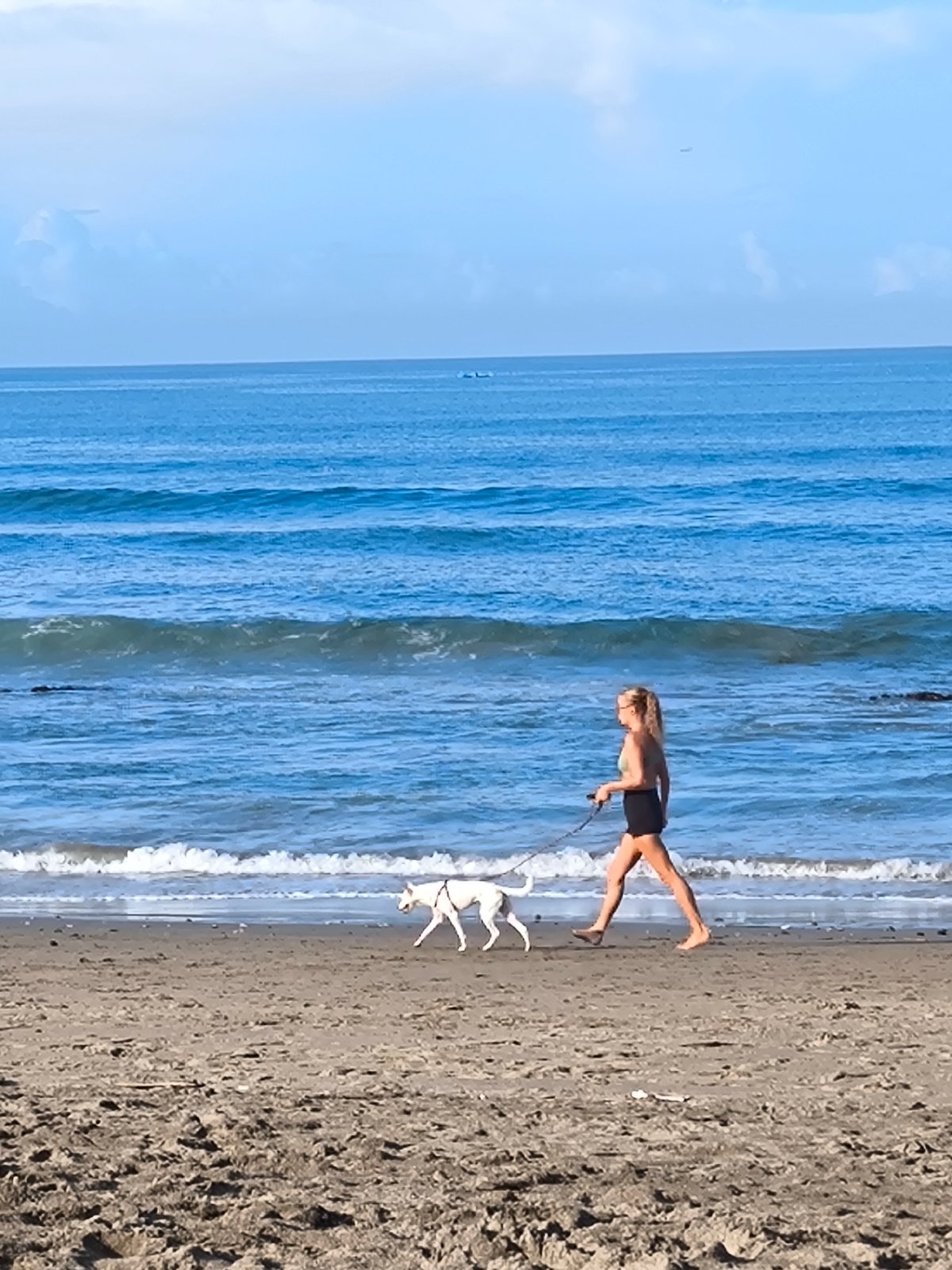 Woman walks white dog on Canggu beach evening