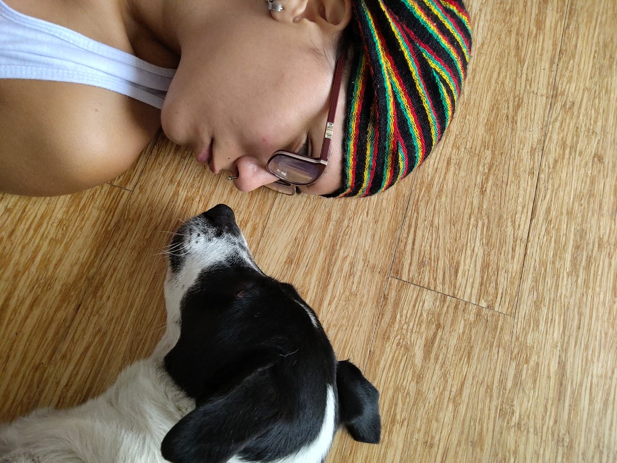 Woman takes selfies with pet dog at home