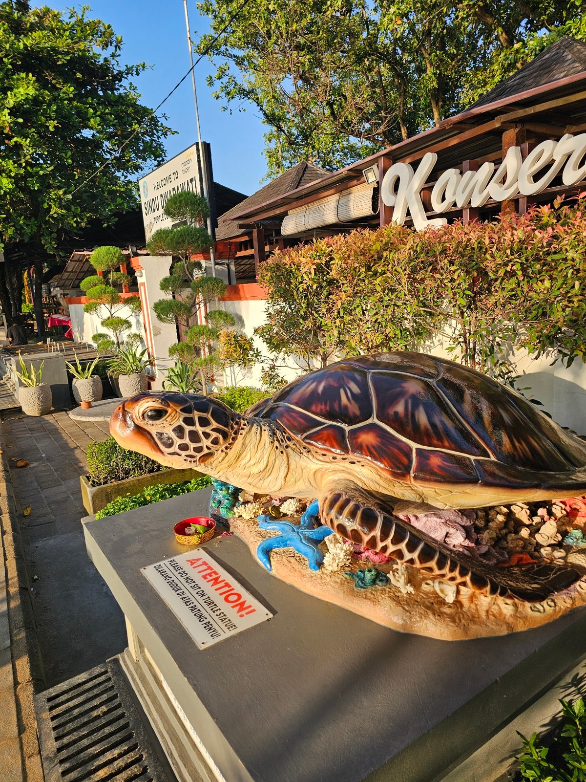 Evening street scenes and Balinese ceremonies documented in Denpasar