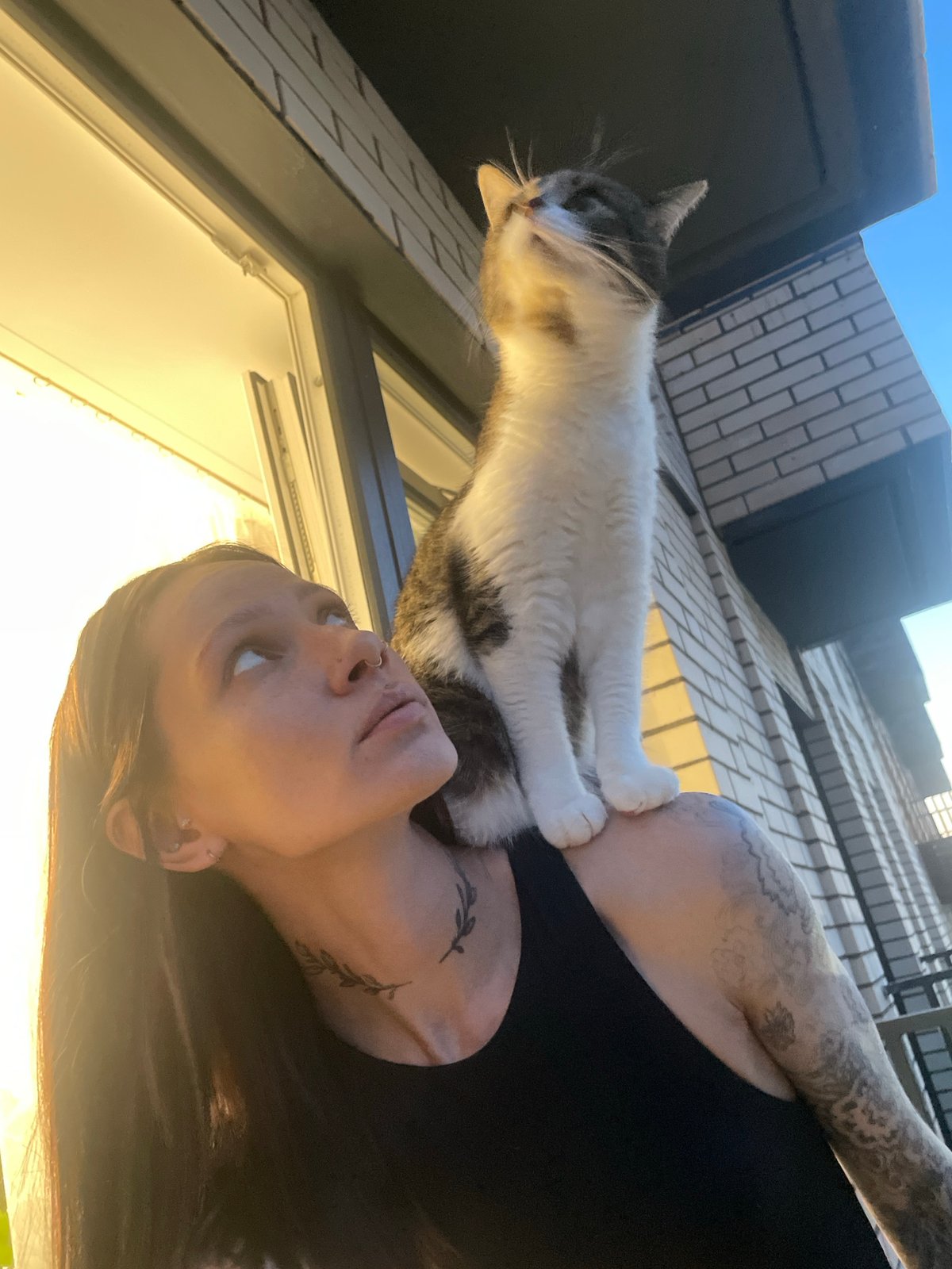 Woman enjoys quiet evening with cat and husky in Pervomaysky