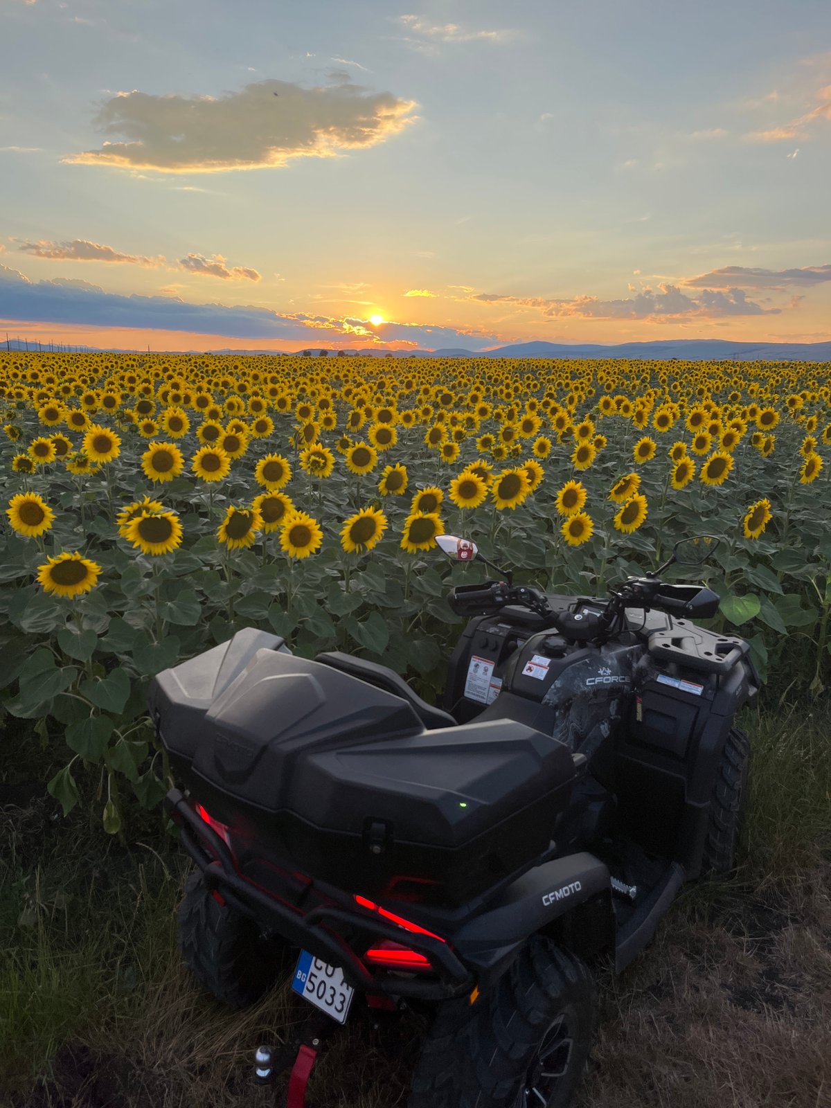 CFMOTO ATV parked in Bulgarian sunflower field at sunset