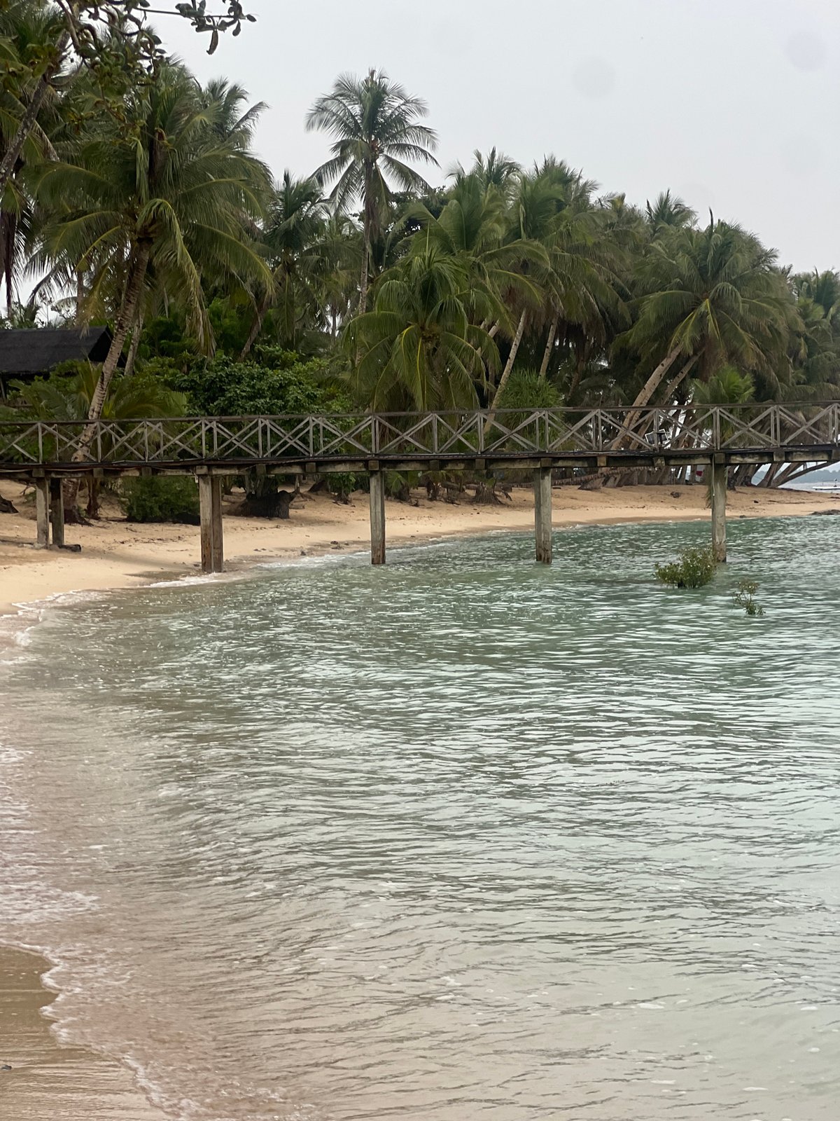 Calm beach afternoon in General Luna, surfboards and swimmers in frame
