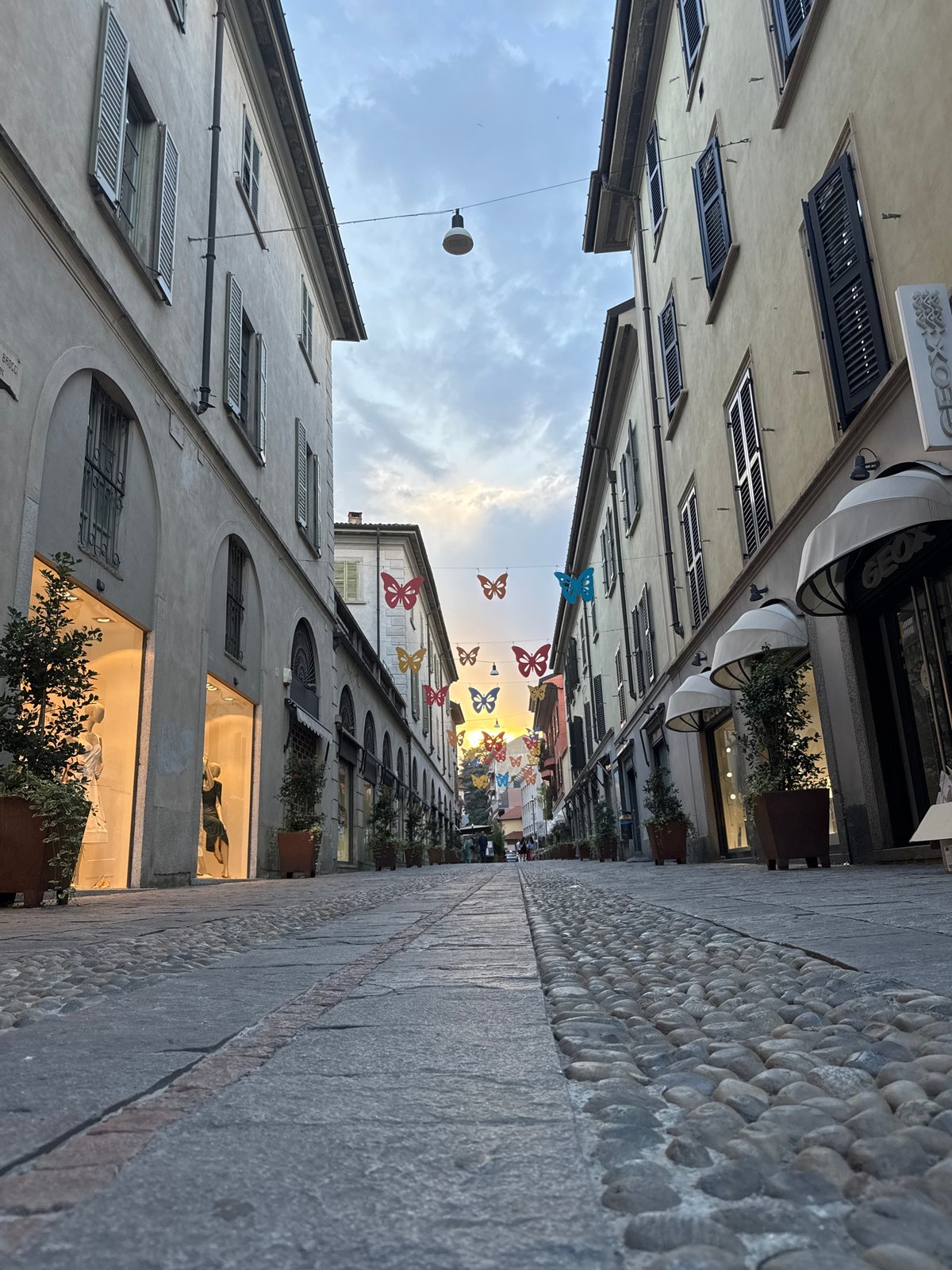 Summer evening walkthrough of Varese's historic center and gardens