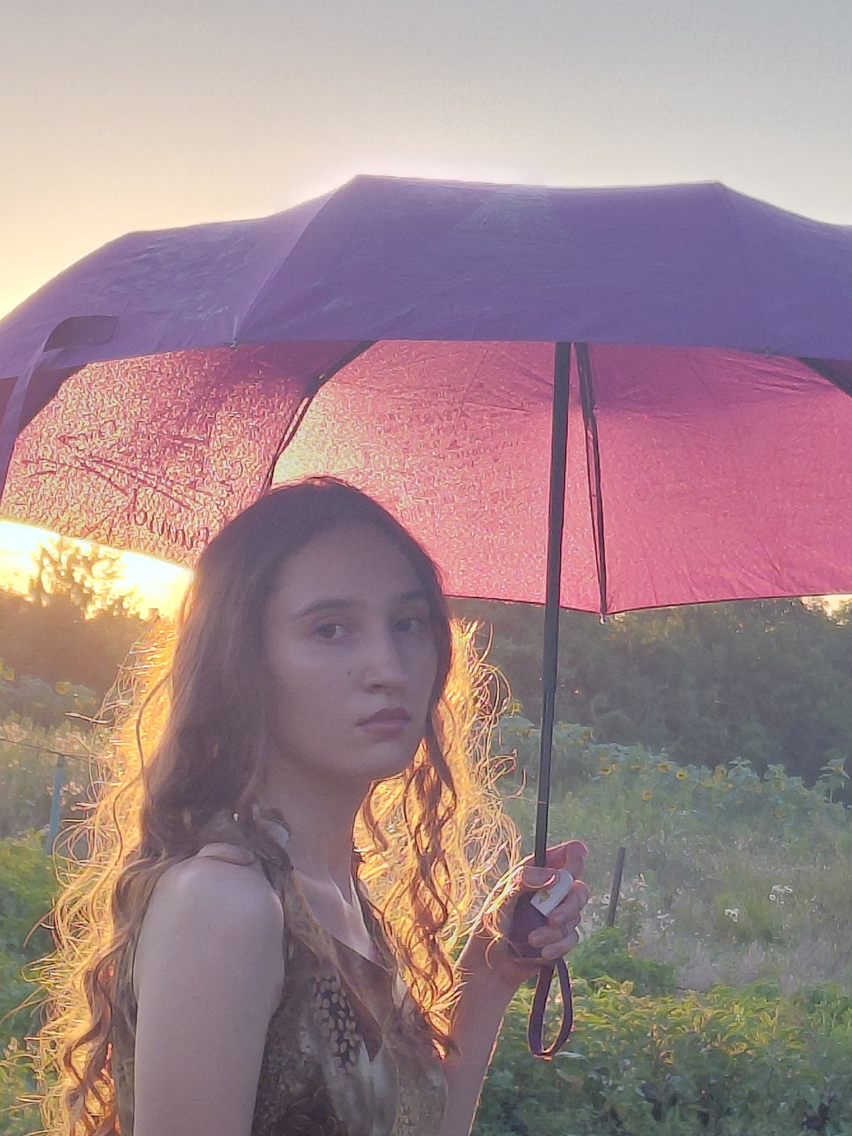 Golden hour umbrella portraits in an open field at sunset