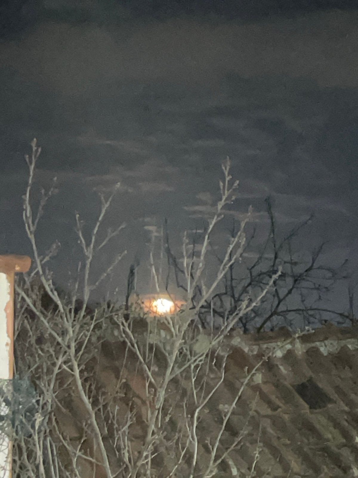 Moon viewed through bare branches in Varna night scene