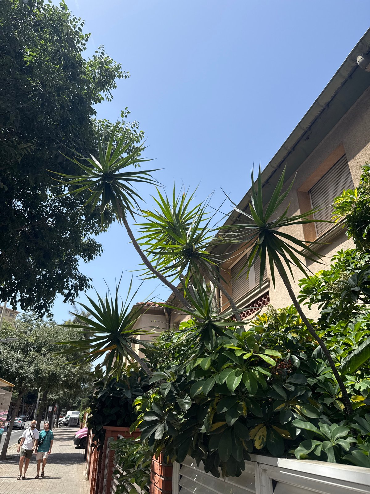Barcelona street walk: flowers, metro, and neighborhood details