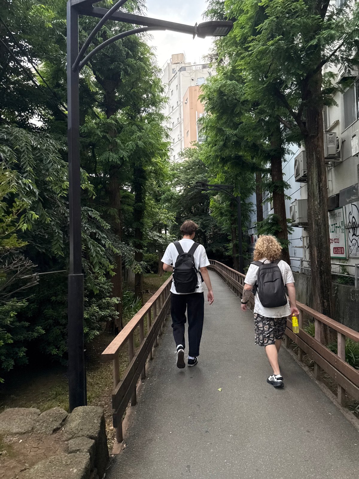 Street-level Shinjuku: vending machines, graffiti, and a resting cat