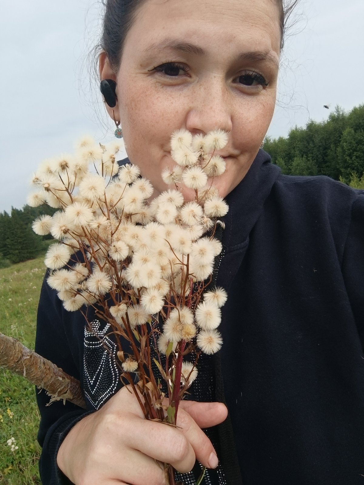 Wandering a rural Russian field: cows, wildflowers, birch trees