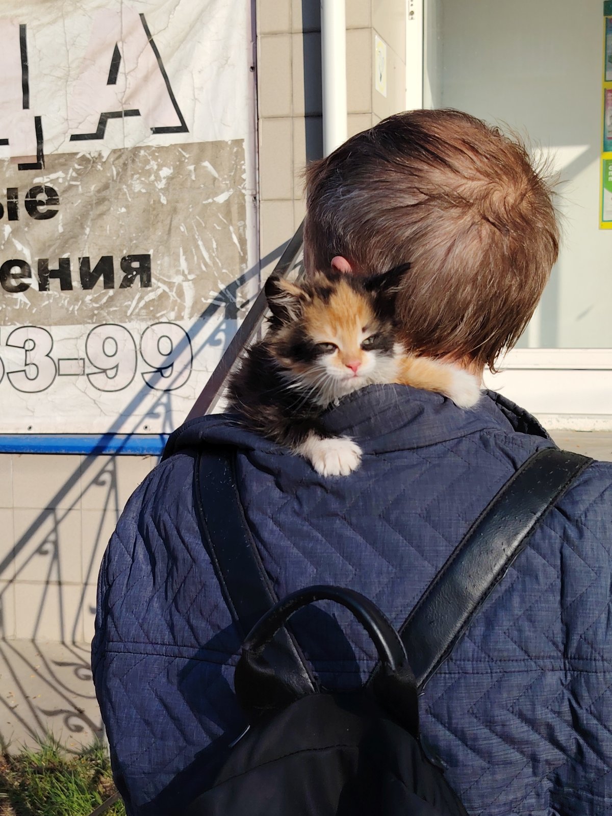 Daily life moments captured across Chaikovsky, Russia