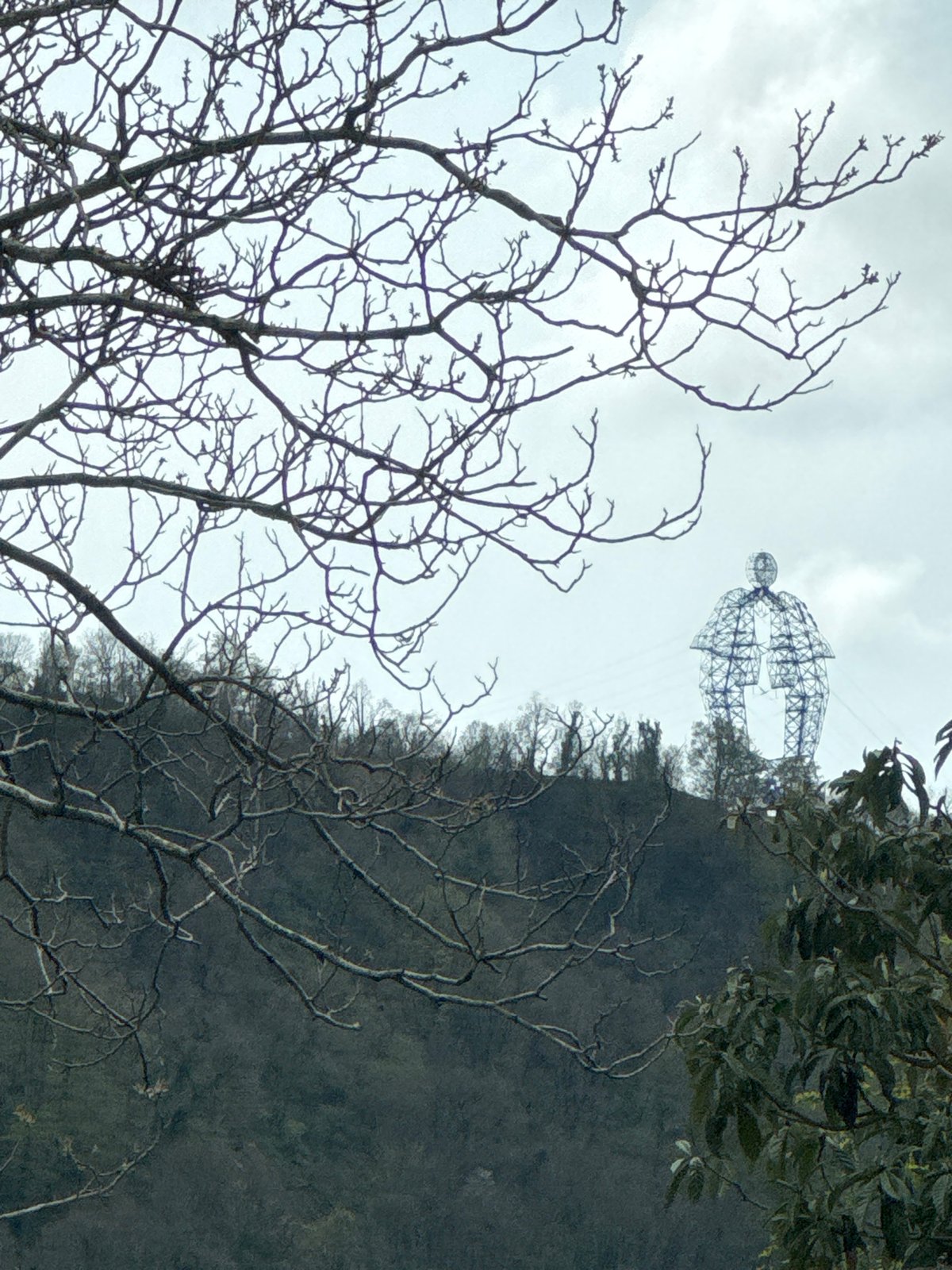 Gray skies and bare trees observed in Vysokoye, Russia