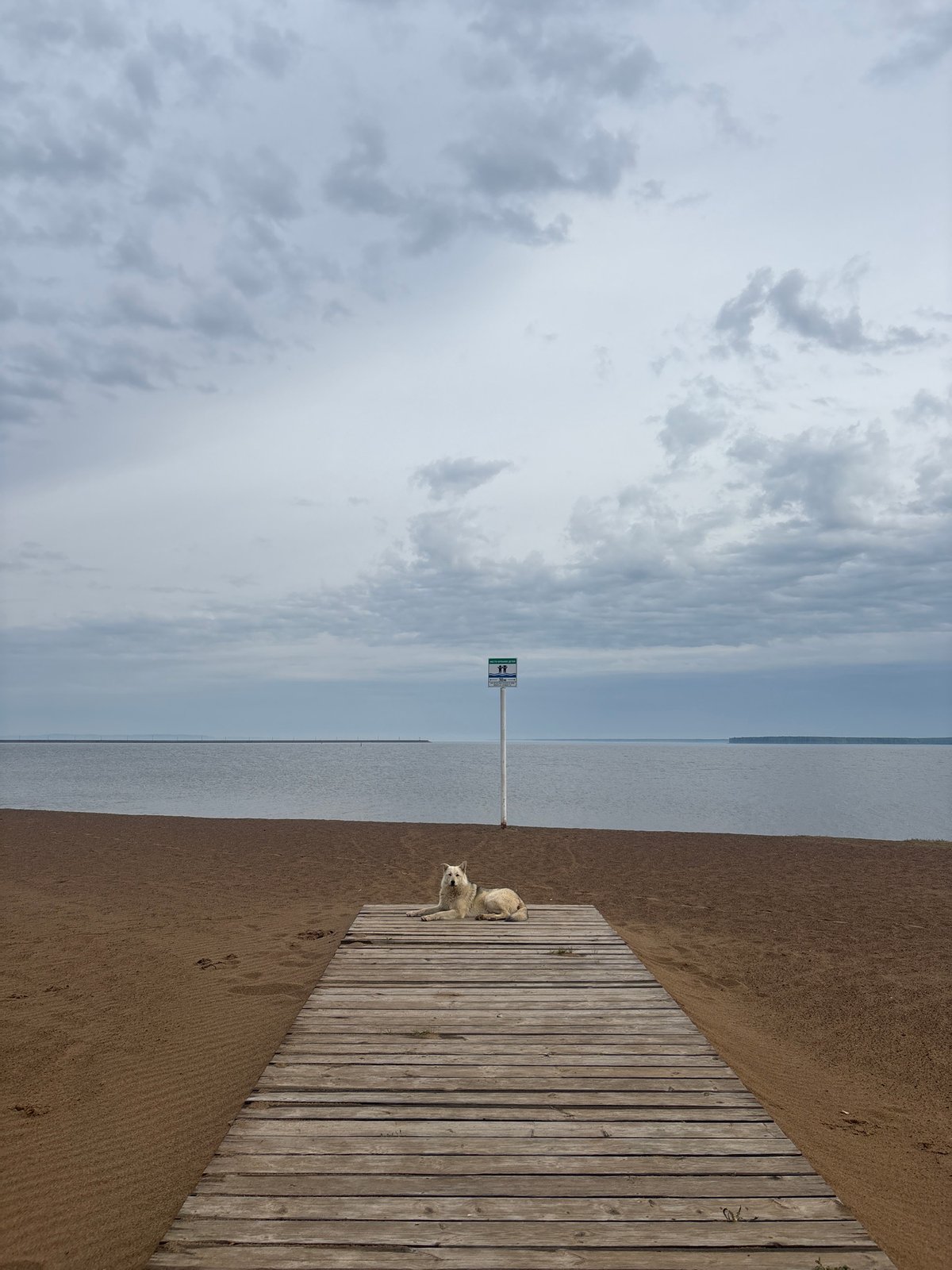 Overcast morning at Chaikovsky beach boardwalk captured by witness