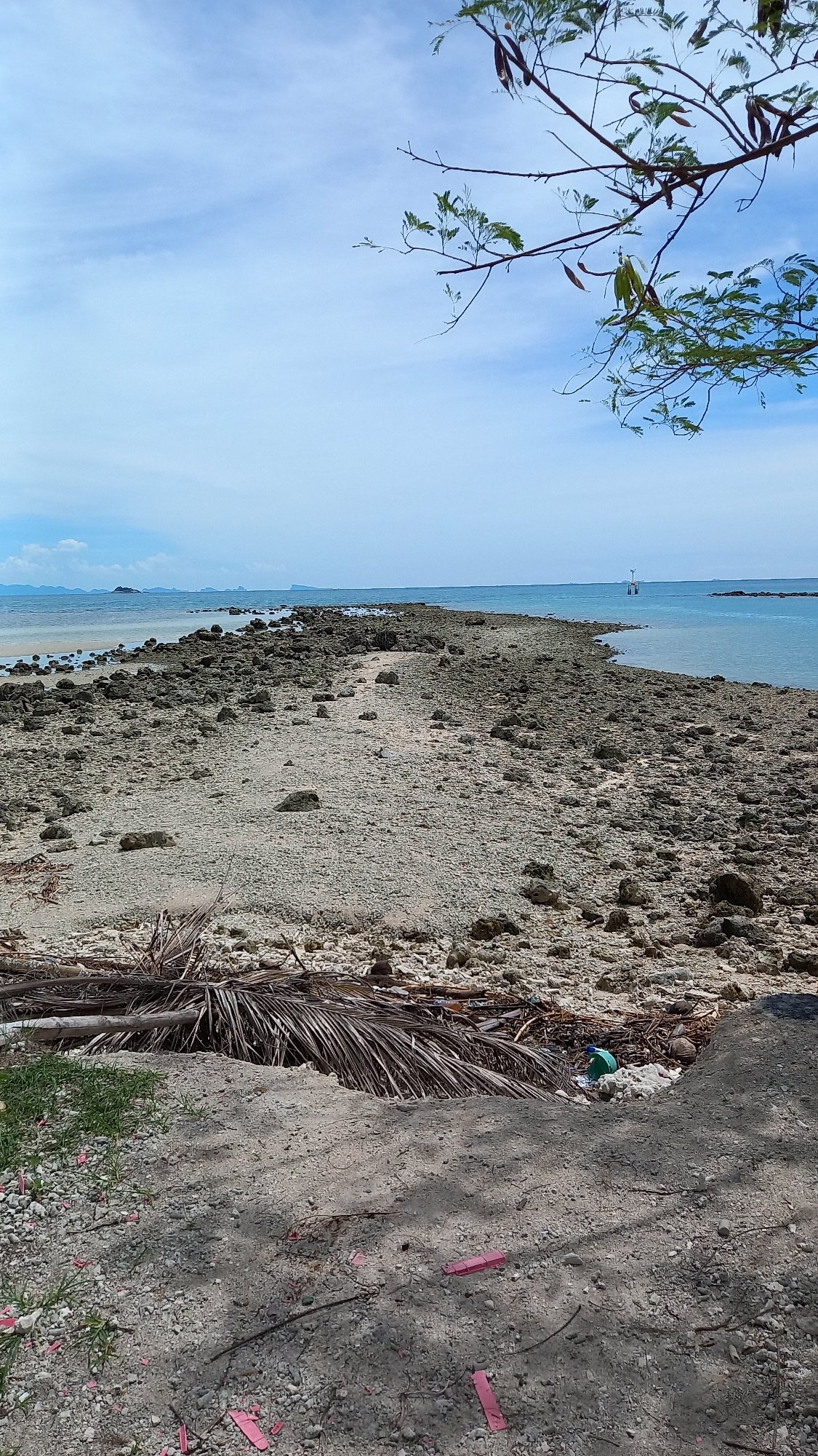 Morning coastal scene with fishing boats in Koh Phangan