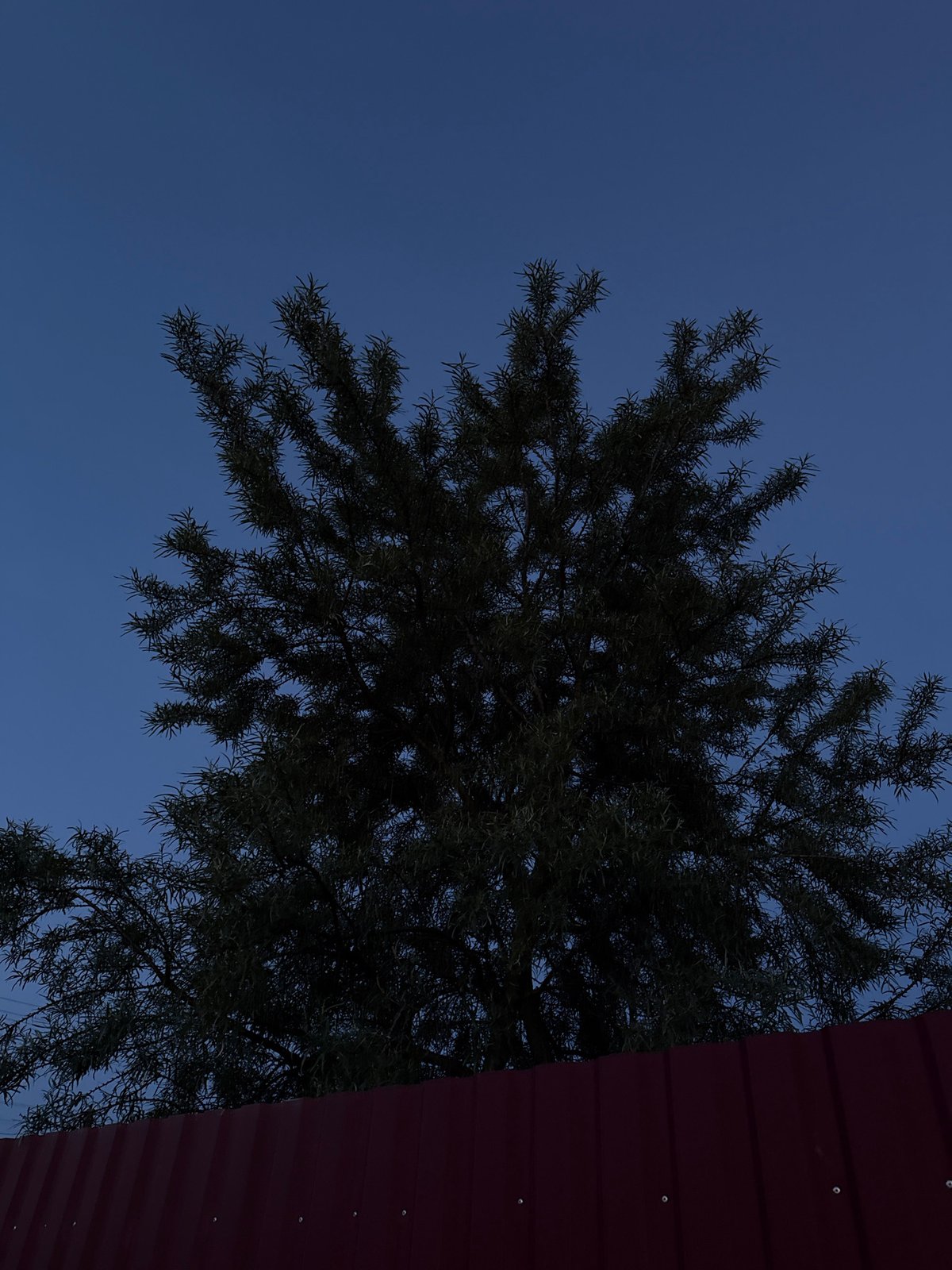 Belarus village twilight captured in 30 sequential images