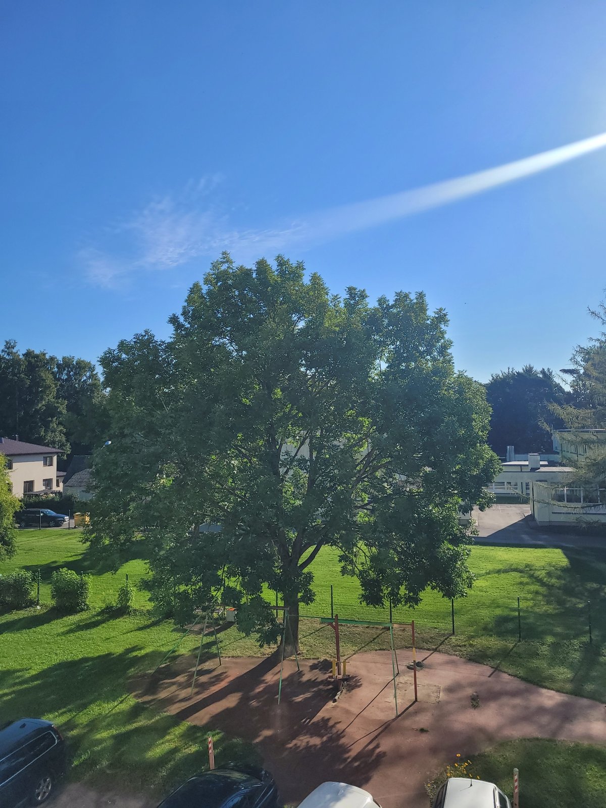 Summer morning at home and outdoors in Jūrmala, Latvia