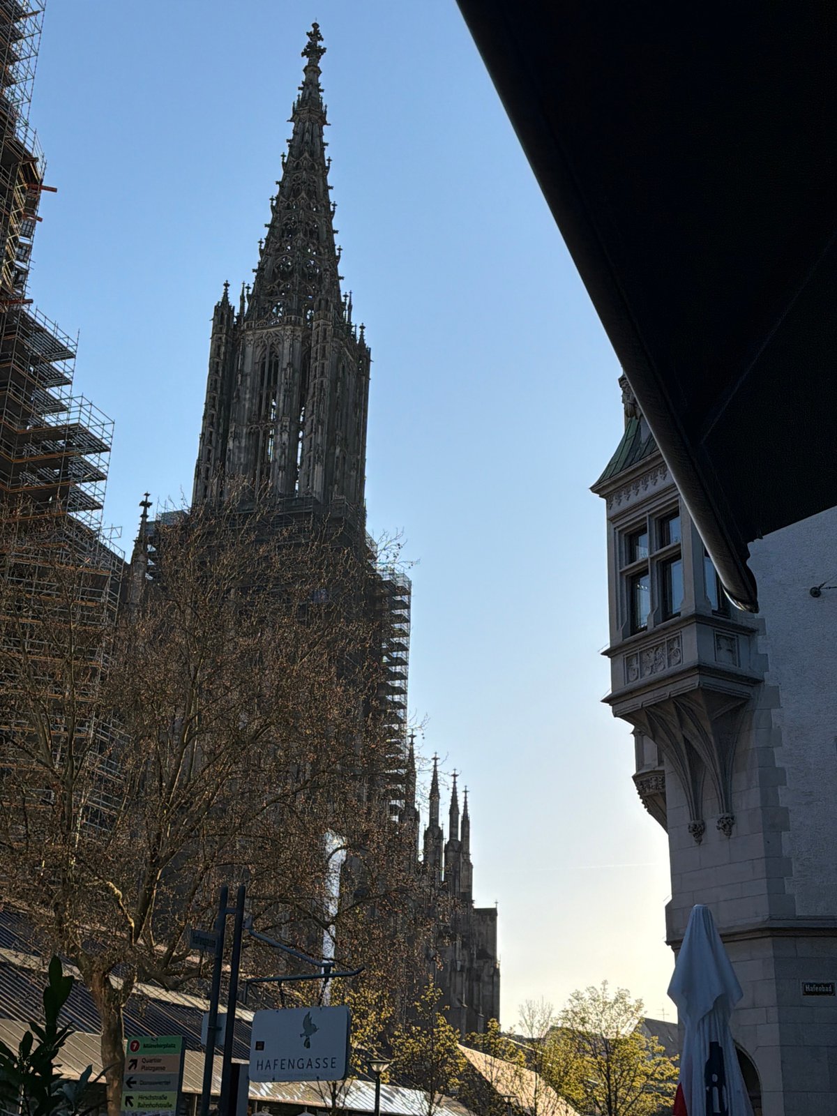 Street musician performs near scaffolded Ulm Minster cathedral