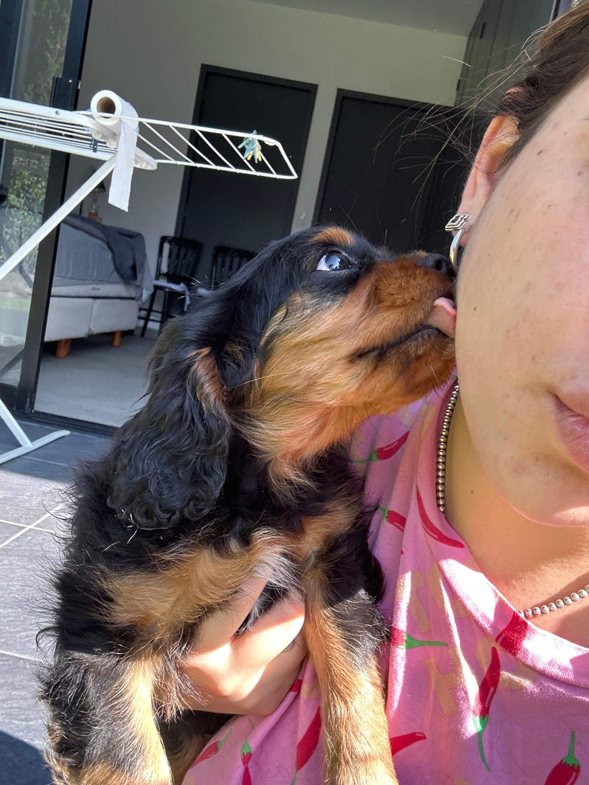 Woman with Cavalier King Charles puppy captured in Puebla