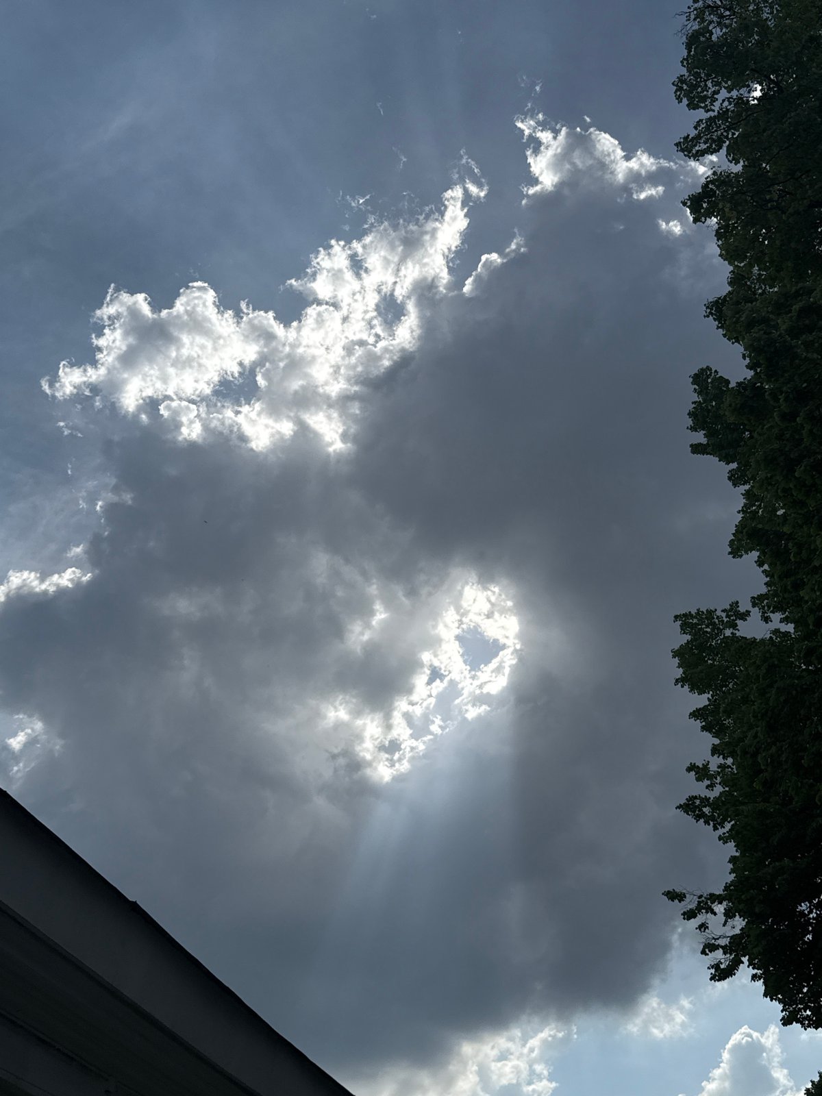 Sunlight breaks through storm clouds observed through trees