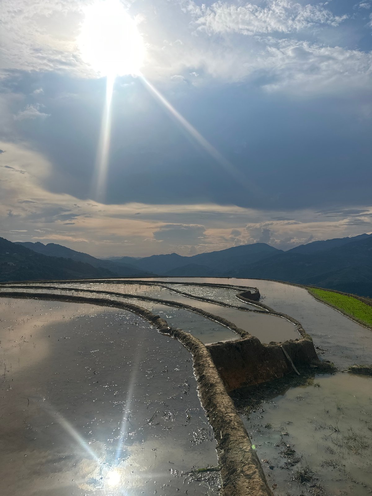 Terraced rice fields documented in Khao Mang, Vietnam