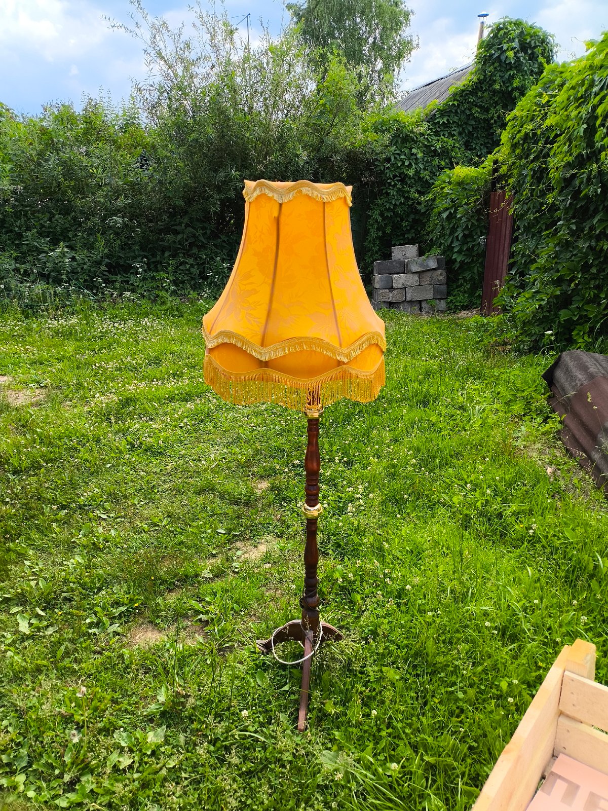 Vintage lamp spotted in overgrown yard near algae pond
