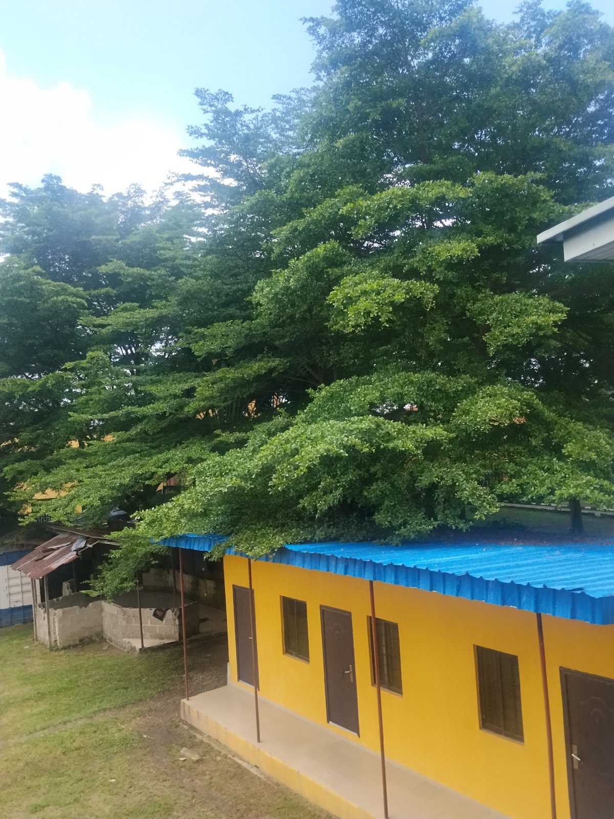 Finished and unfinished buildings side by side in Lagos