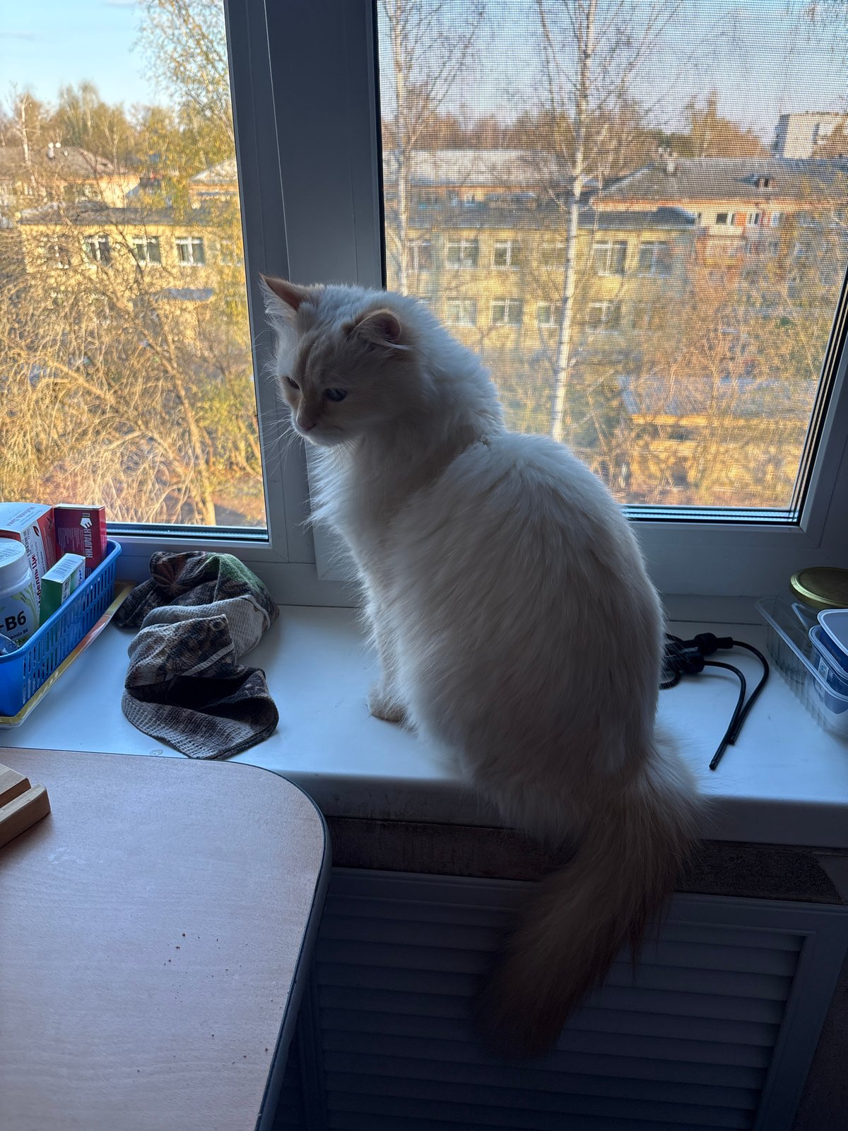 Early morning domestic routine documented in Chaikovsky, Russia