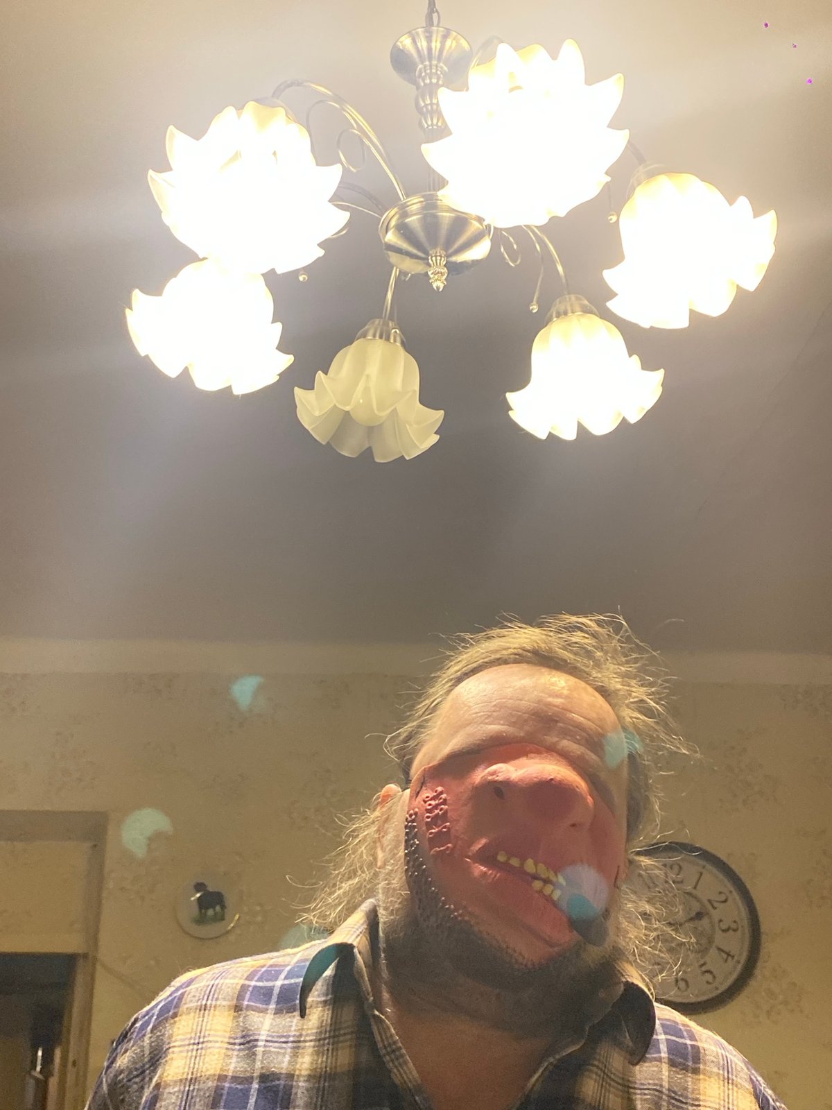 Masked performer photographed in theatrical costume in Khimki