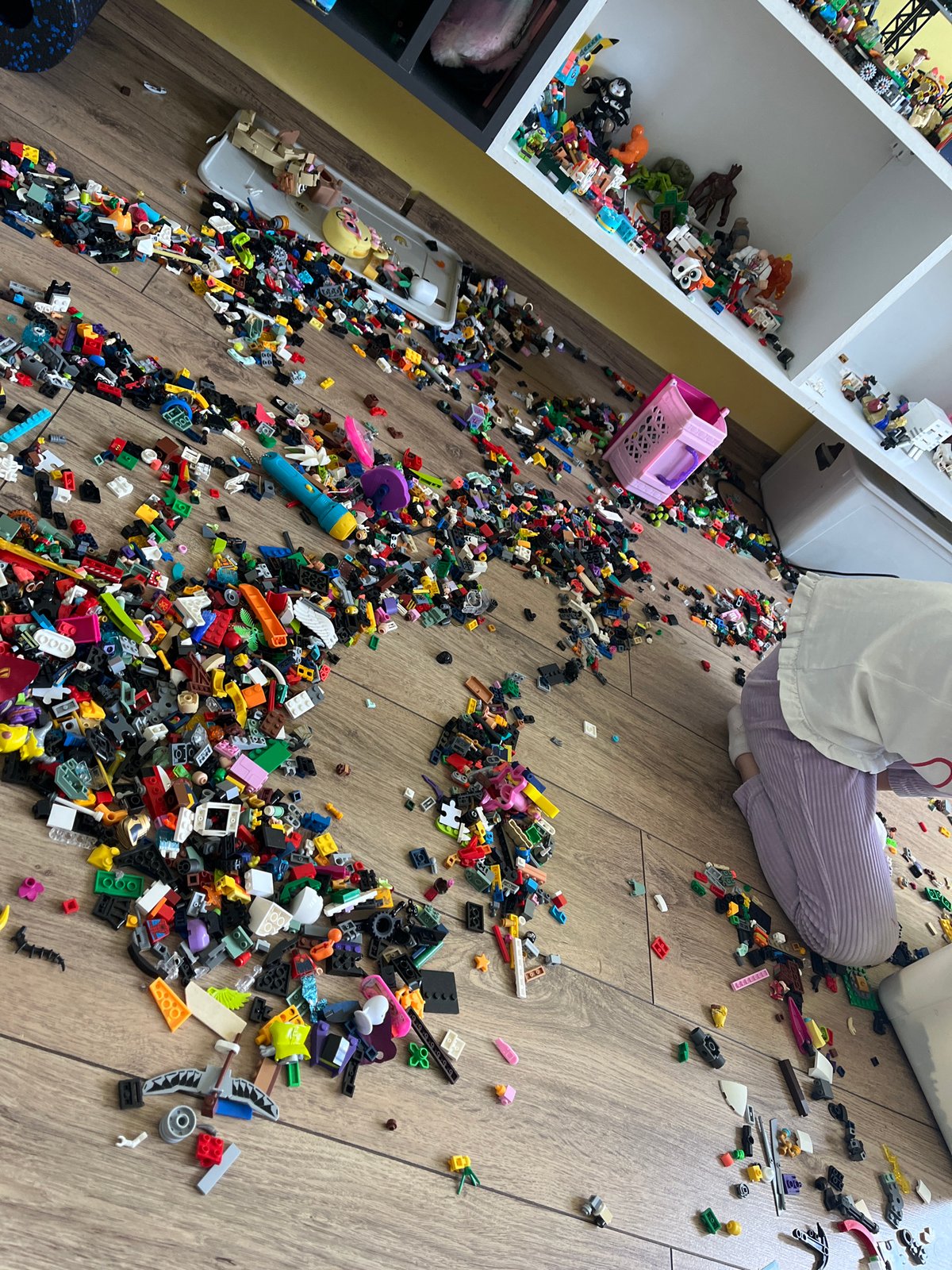 Child creates massive LEGO spread across playroom floor
