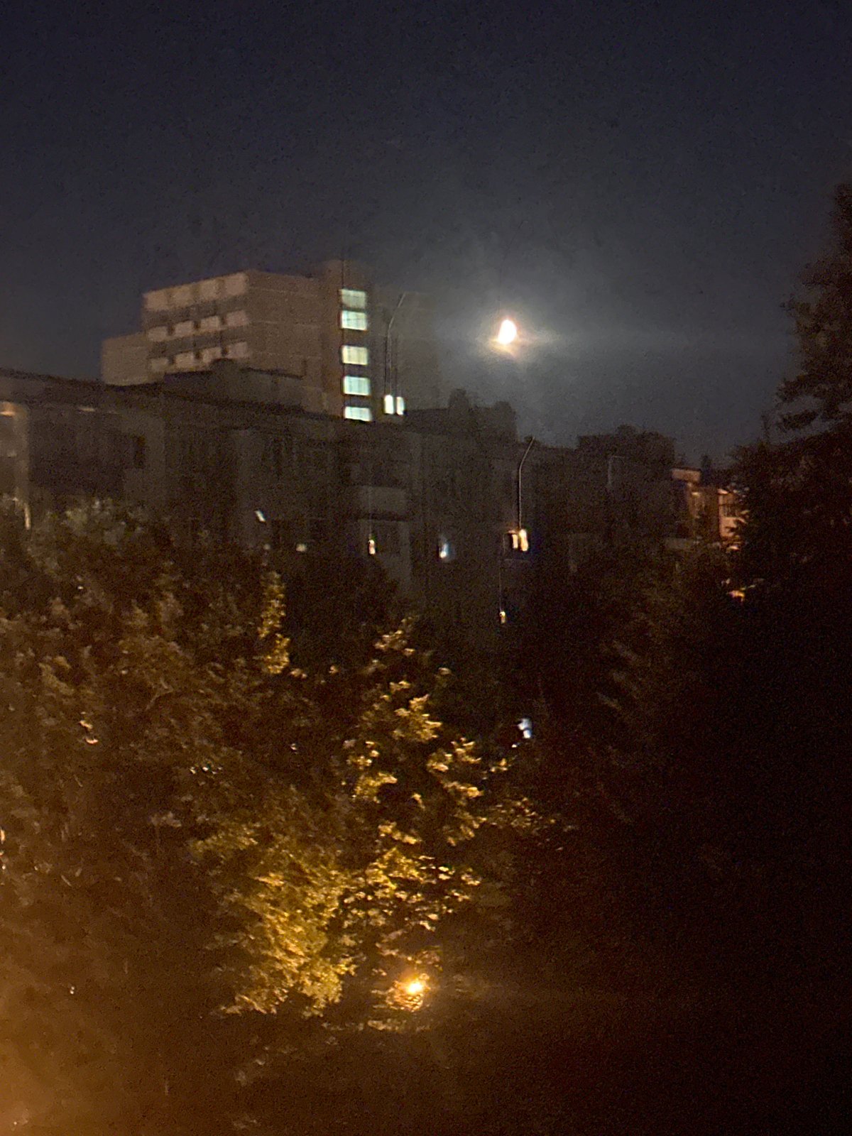 Apartment complex at night, moon visible through urban tree cover