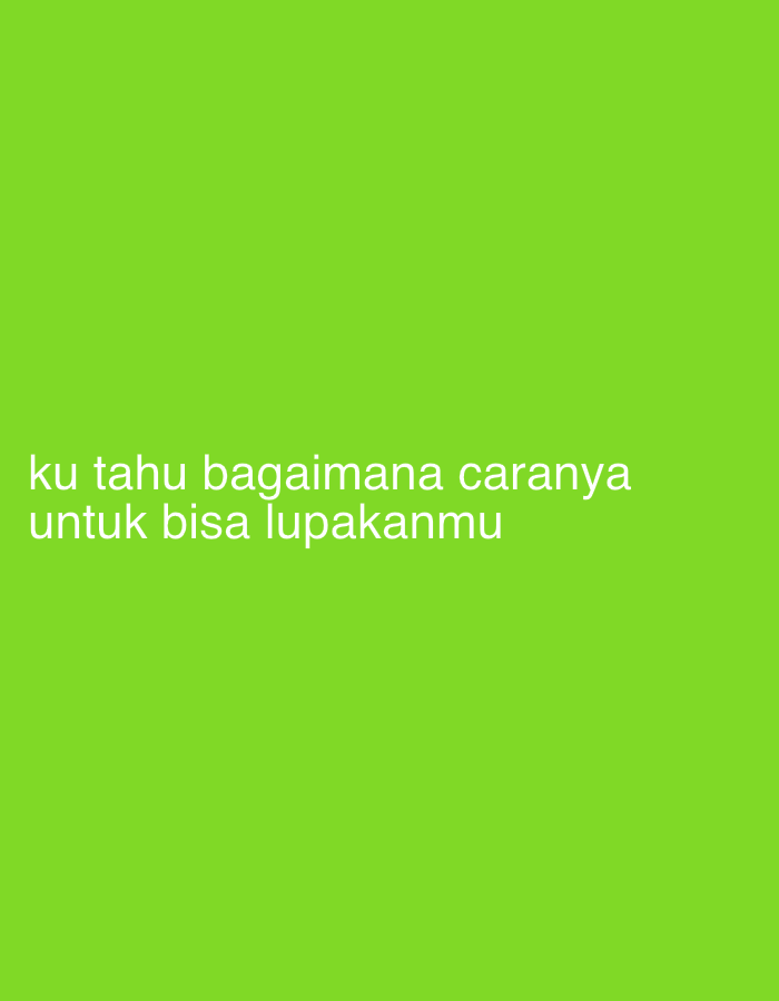 Indonesian heartbreak lyrics in slides, cats at home in Denpasar
