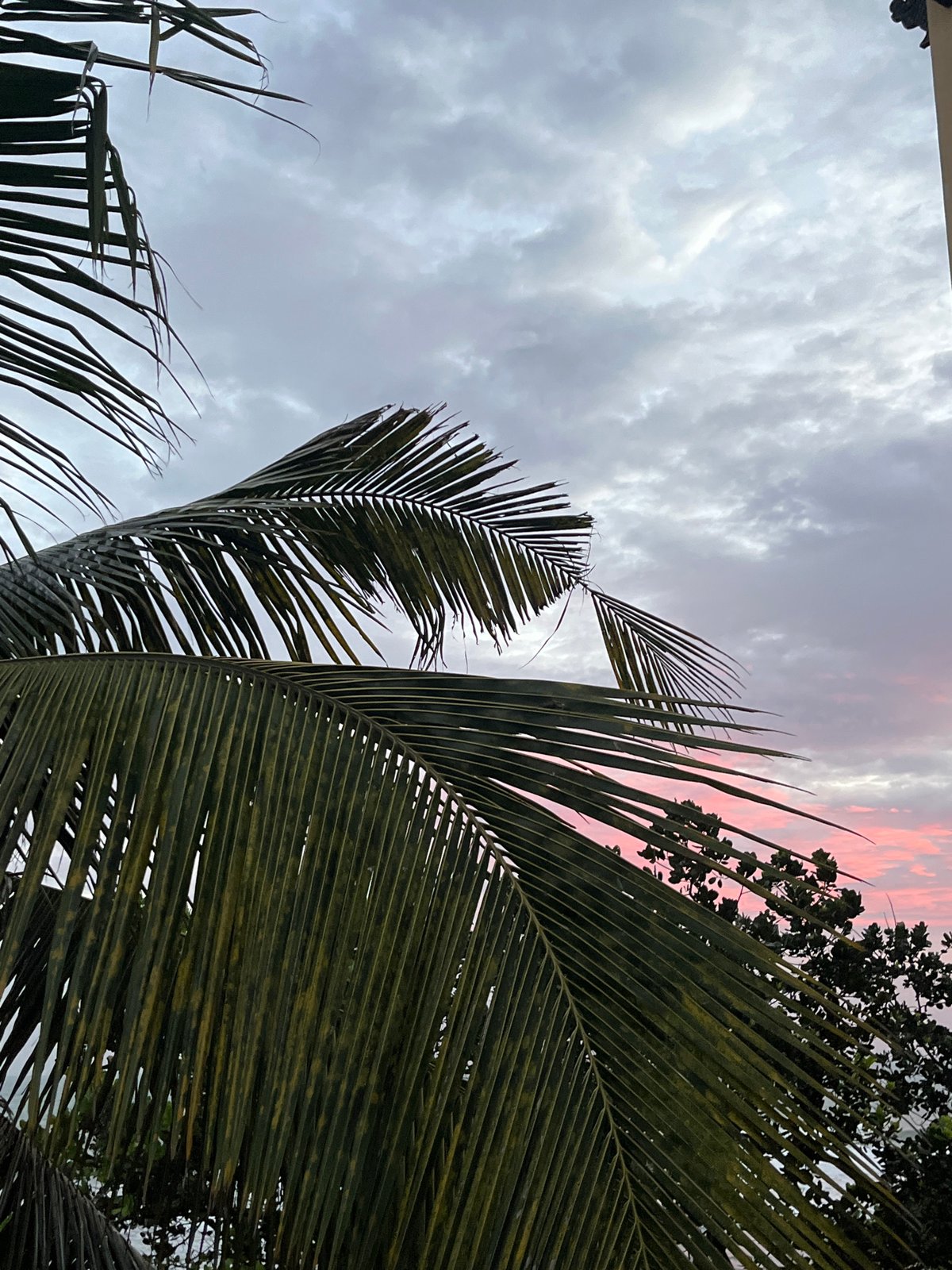 Dusk on the southern Sri Lanka coast, cloudy skies and calm shore