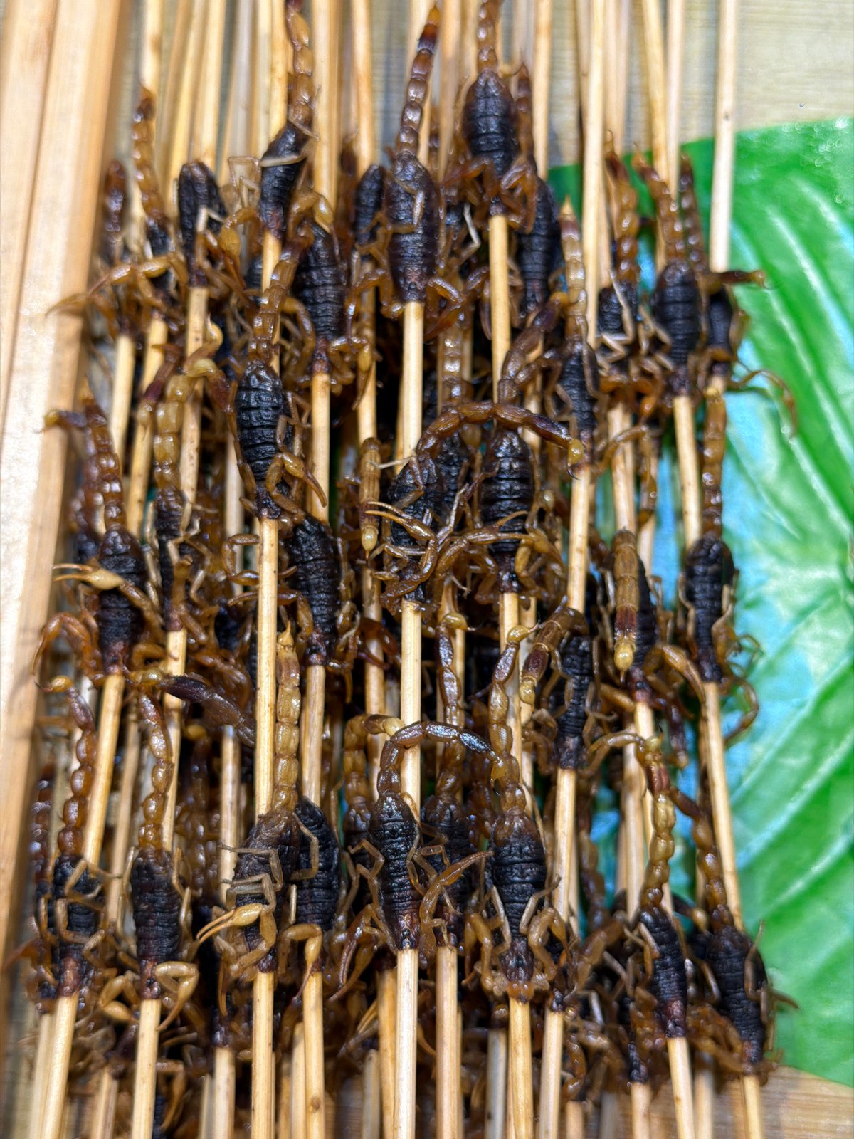 Street food vendor serves fried insects in Yuzhong District