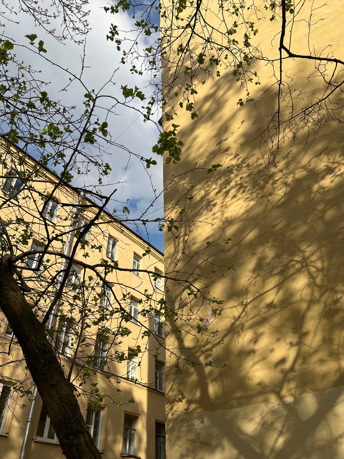 Observer documents everyday Saint Petersburg scenes during afternoon walk