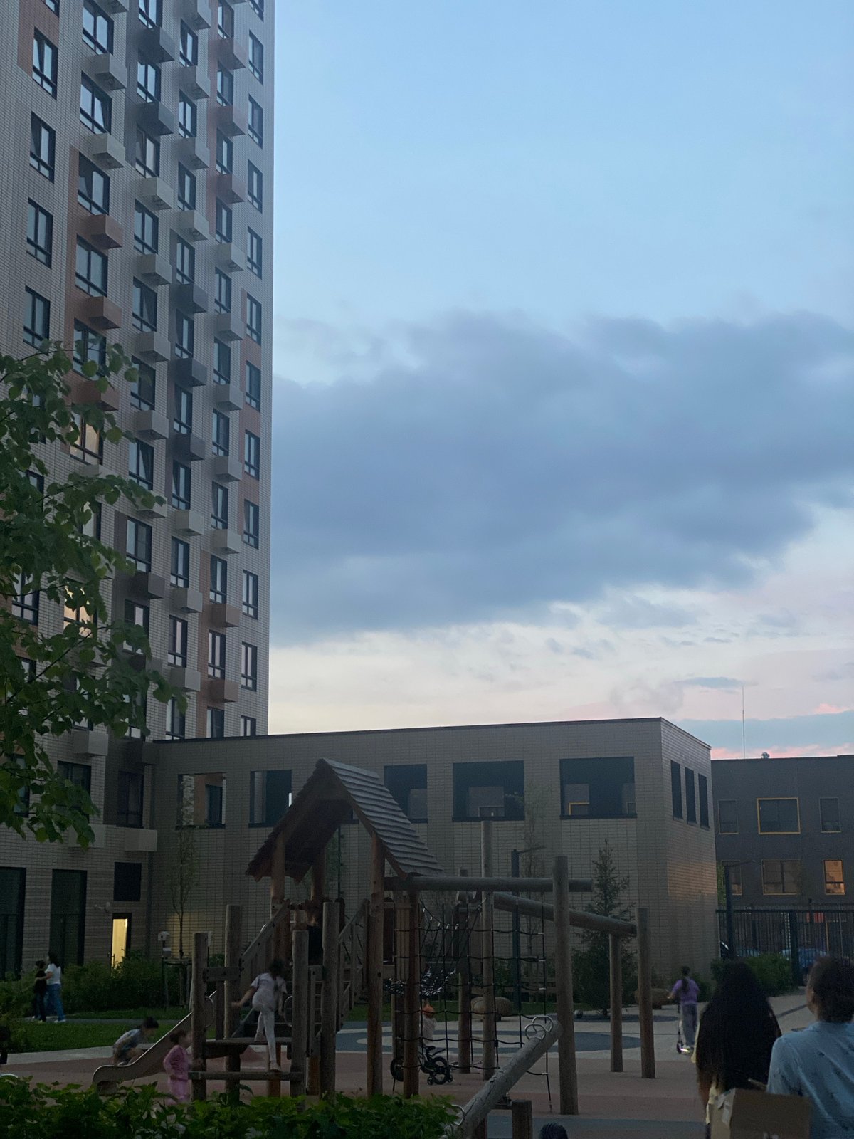 Moscow sunset over residential towers, plus a pet parrot at home