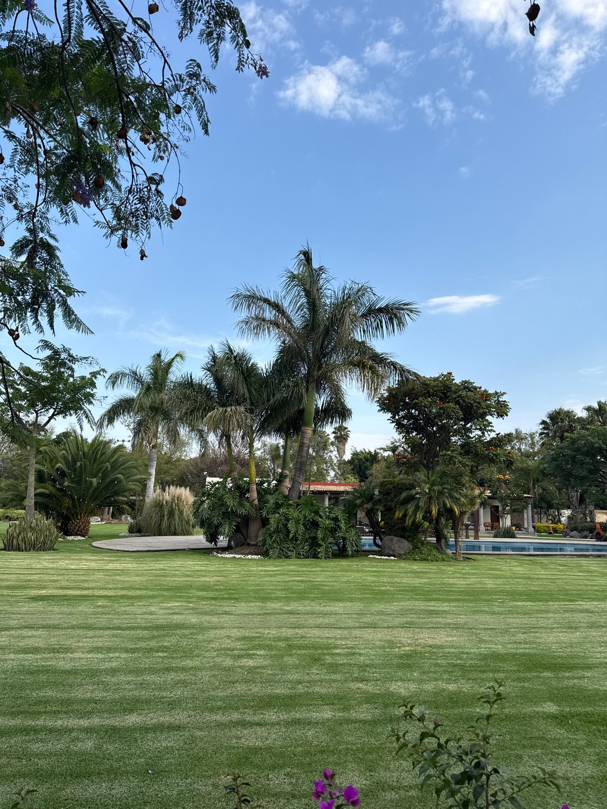 Park and roadside gardens documented in Mexican town