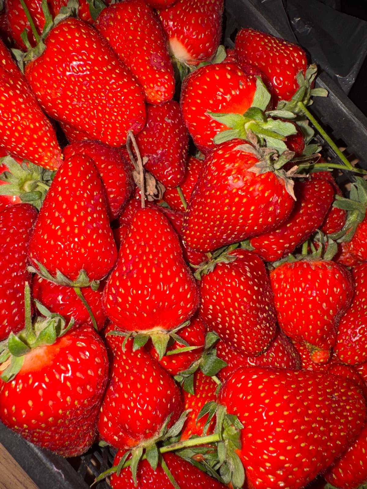Domestic moments documented in Russian residential setting, strawberries featured