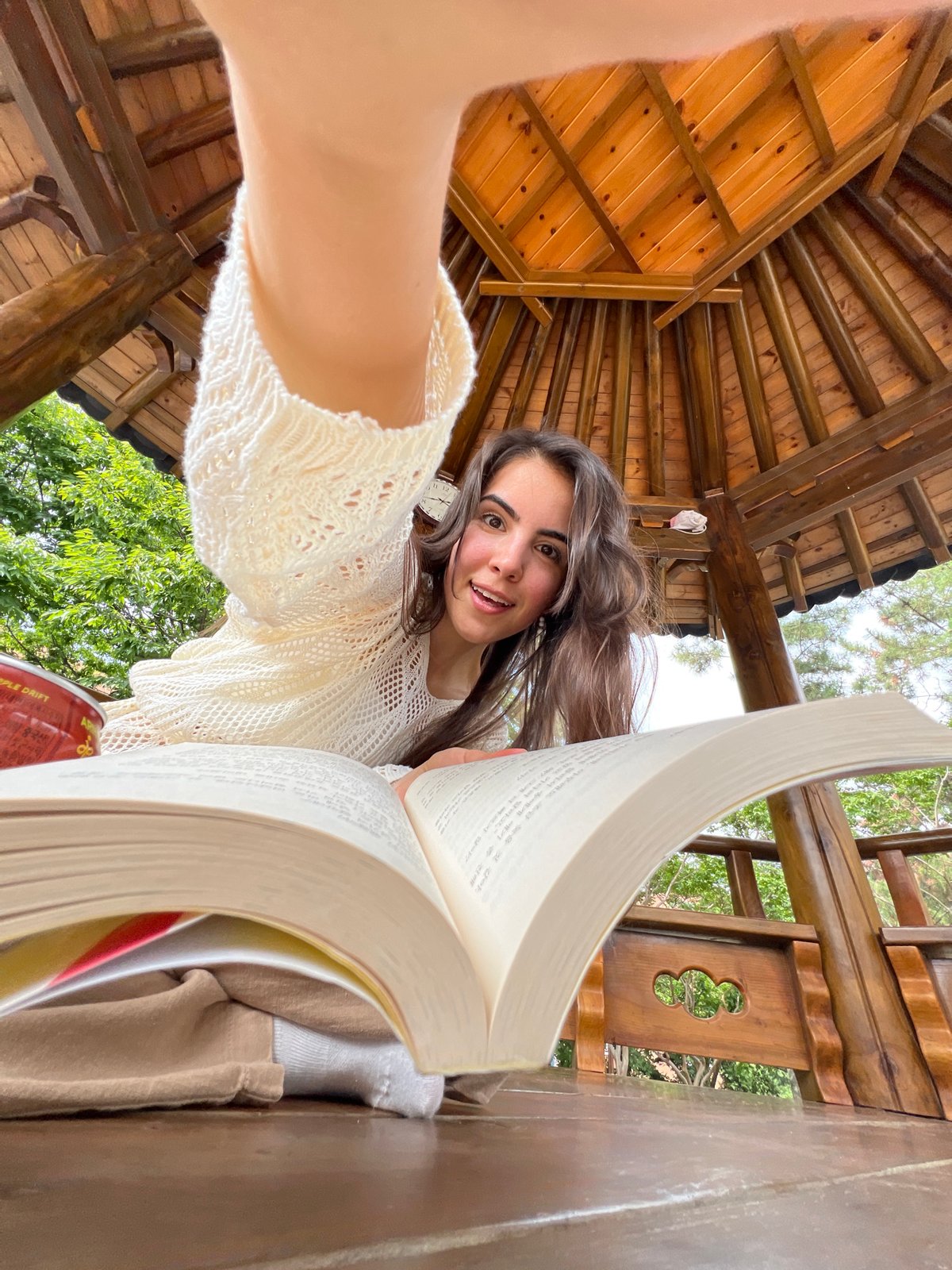 Reading and relaxing in a traditional Daegu gazebo