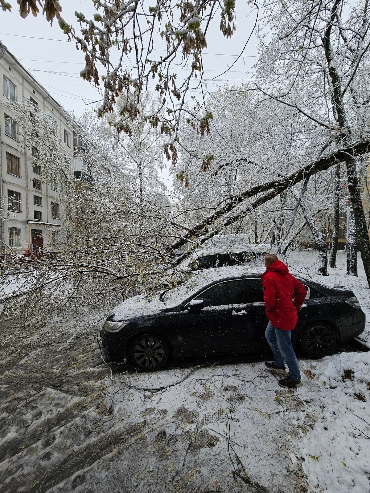 Morning routines captured in snowy Khimki, Russia