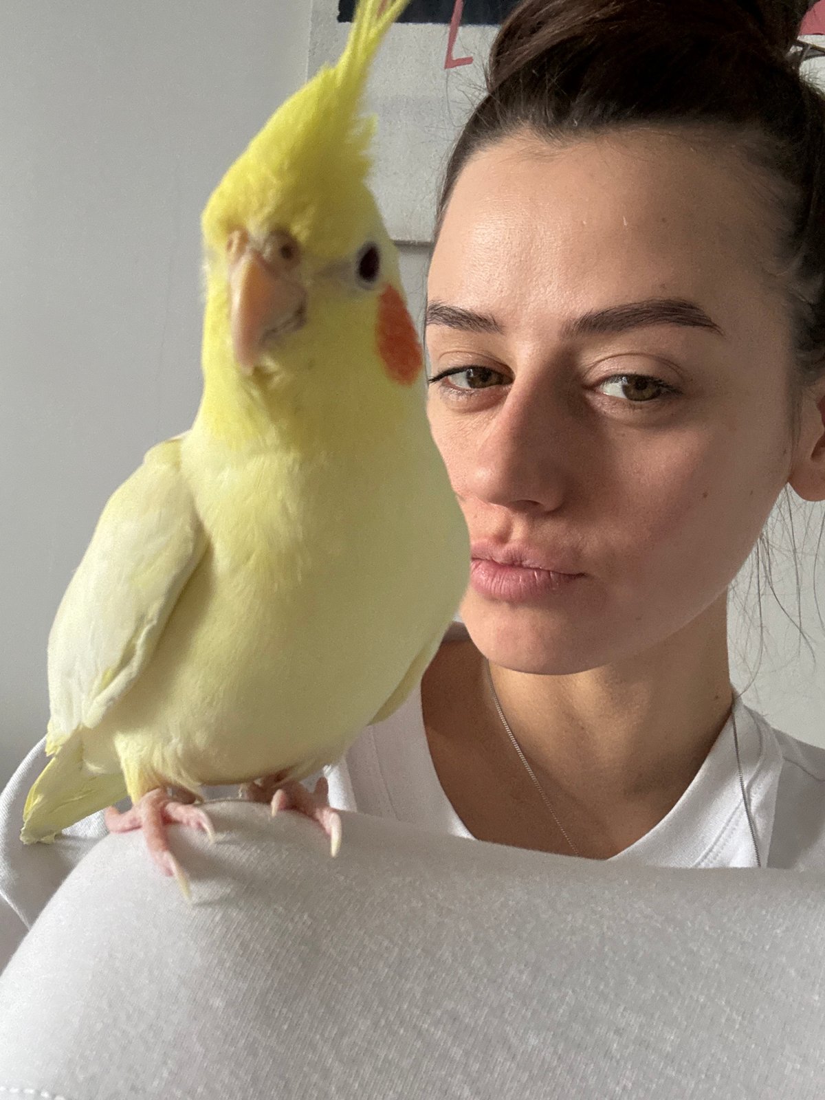 Woman photographs with pet cockatiel in Krasnoyarsk apartment