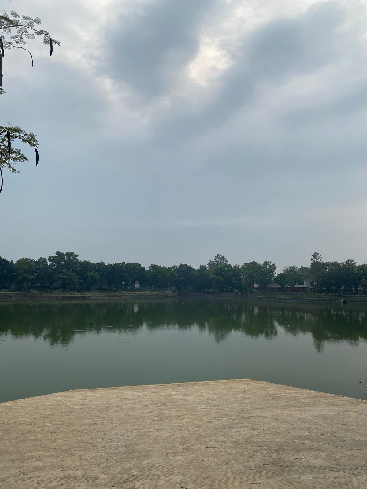 Lakeside park life in East Jakarta, cats and all