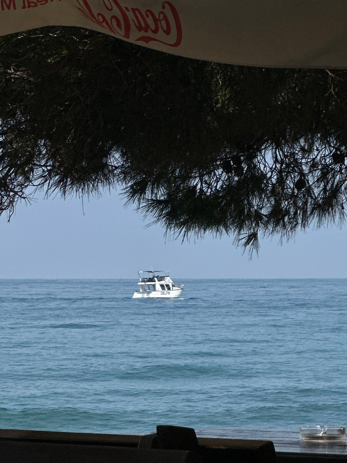 White boat 'DELFIN' spotted from seaside cafe in Šušanj
