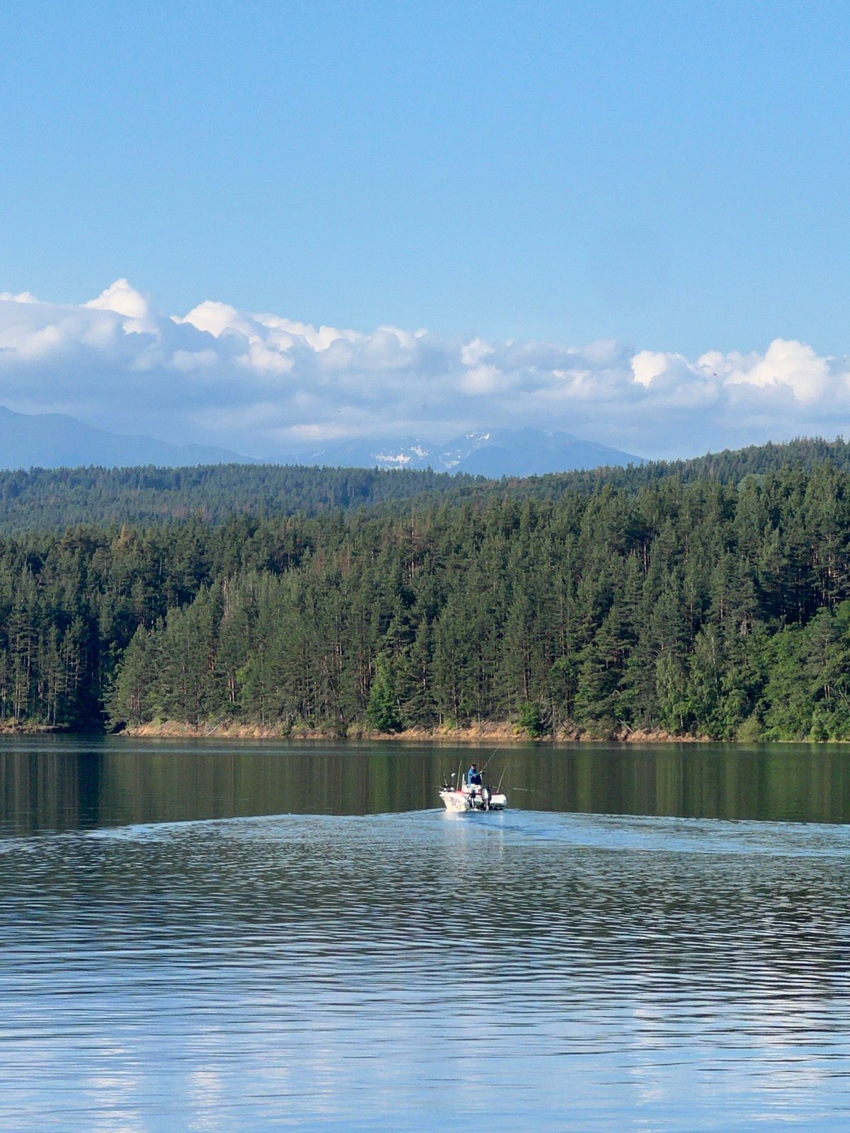 Quiet morning on Lake Pancharevo — boats out, lines in the water