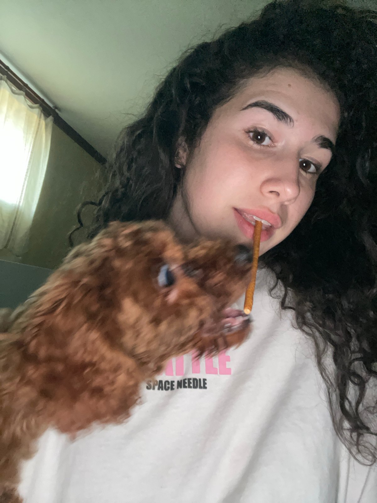 Person plays with dog using snacks in Sofia