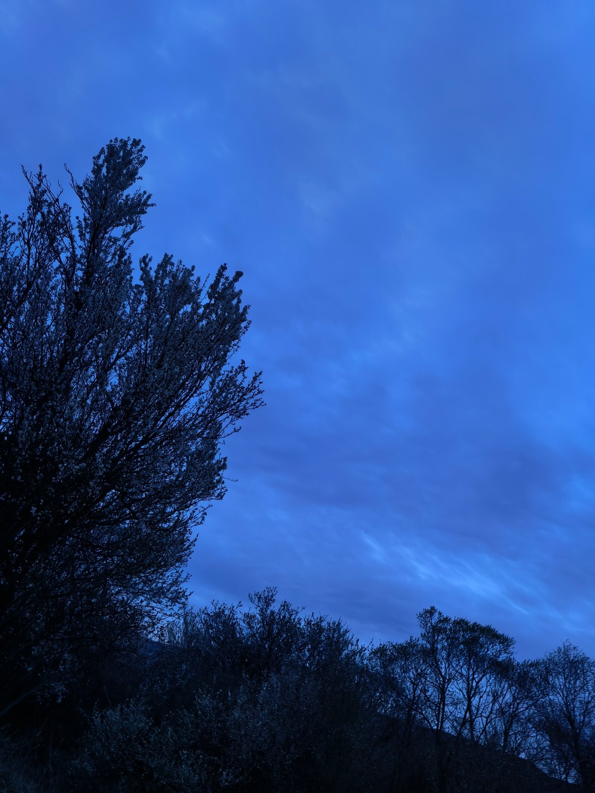 Rural sunset landscape documented across 31-minute span
