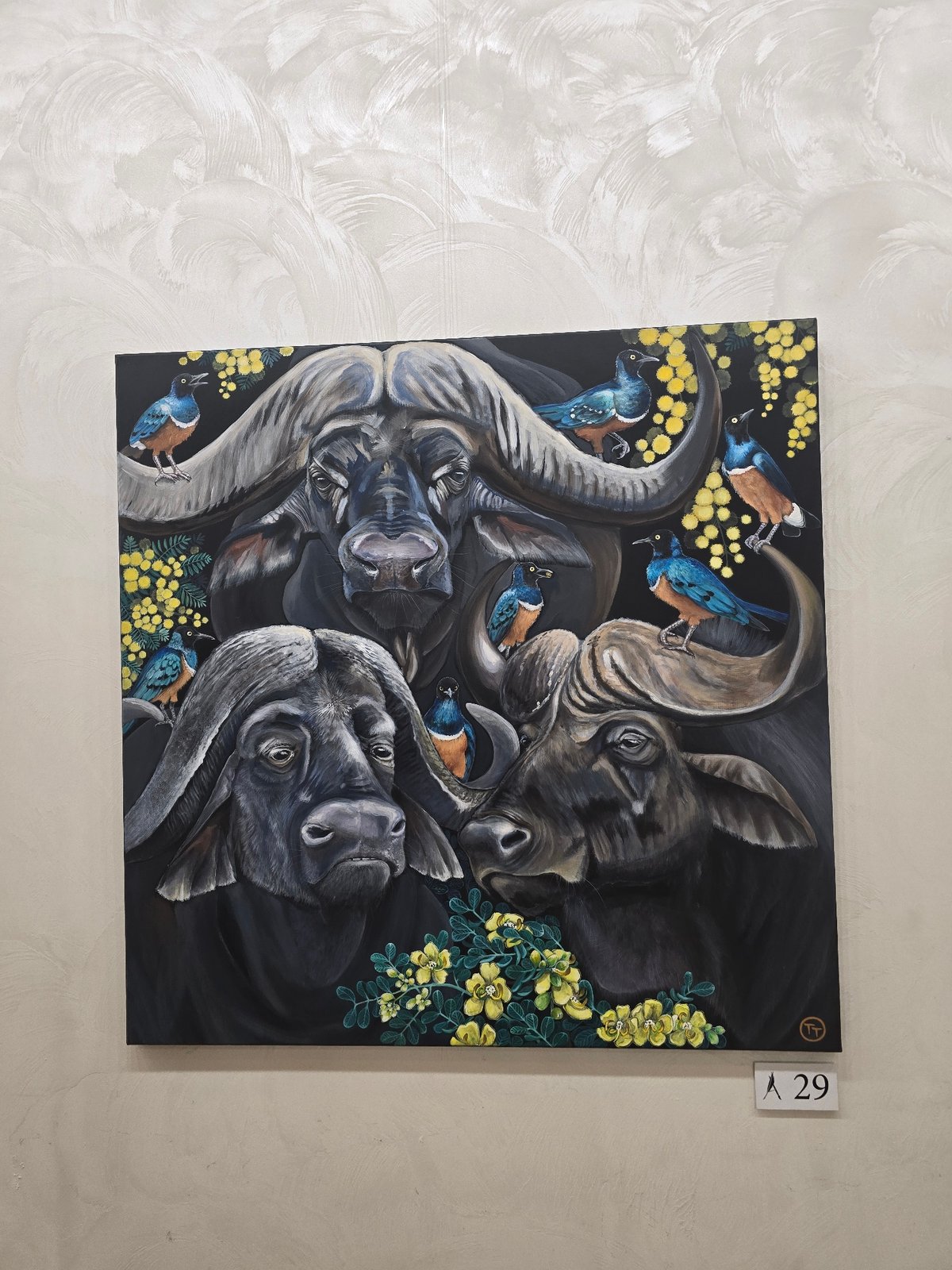 Art gallery exhibition documented in Sofia, Bulgaria