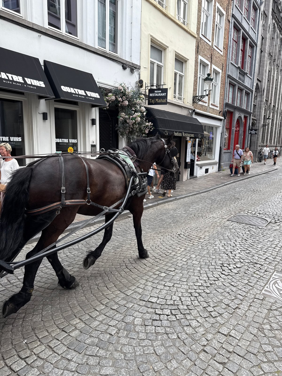 Cobblestones, carriages, and curiosity shops in Bruges