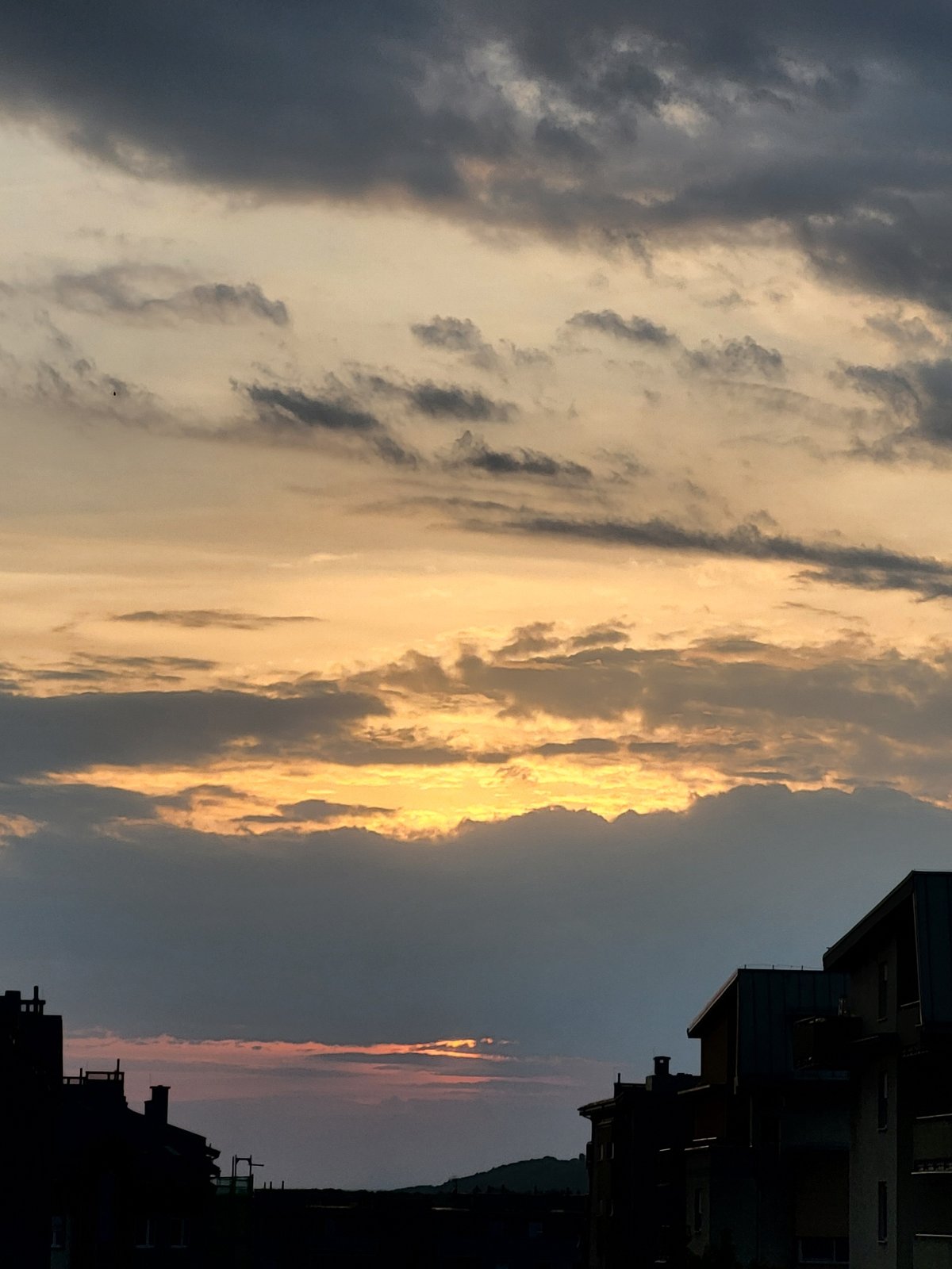 Urban sunset, domestic cat, and coffee preparation witnessed May 24