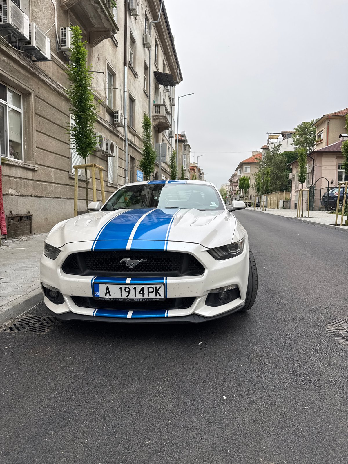 White Ford Mustang with blue stripes spotted in Burgas