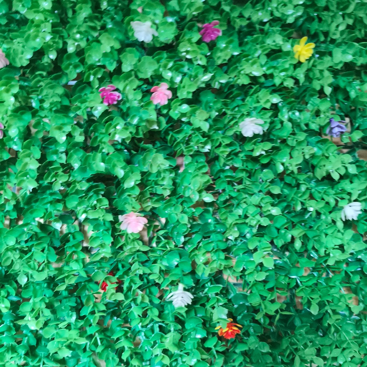 Colorful artificial flower wall display spotted in Chaikovsky, Russia
