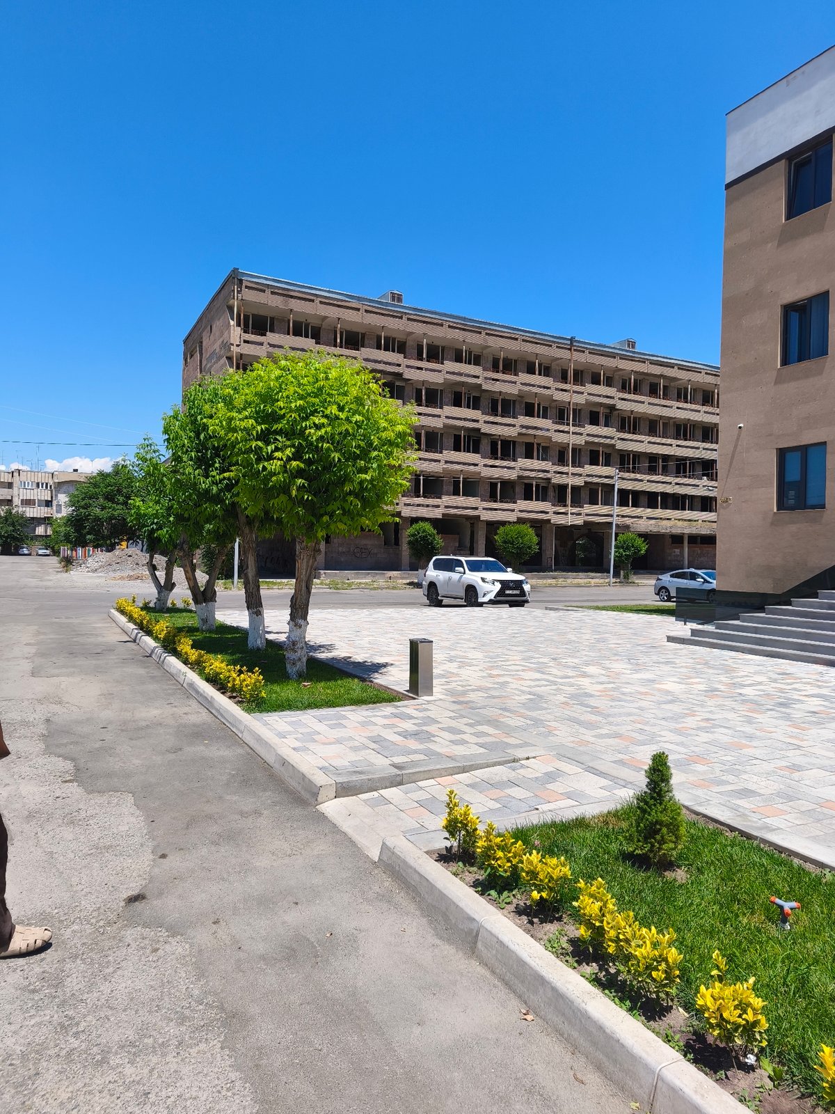 Mulberry tree and wooden sculpture documented in Vagharshapat courtyard