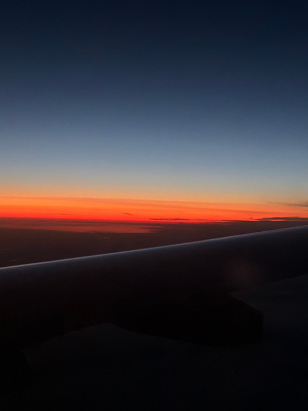 Woman documents airplane journey with selfies over Russia twilight